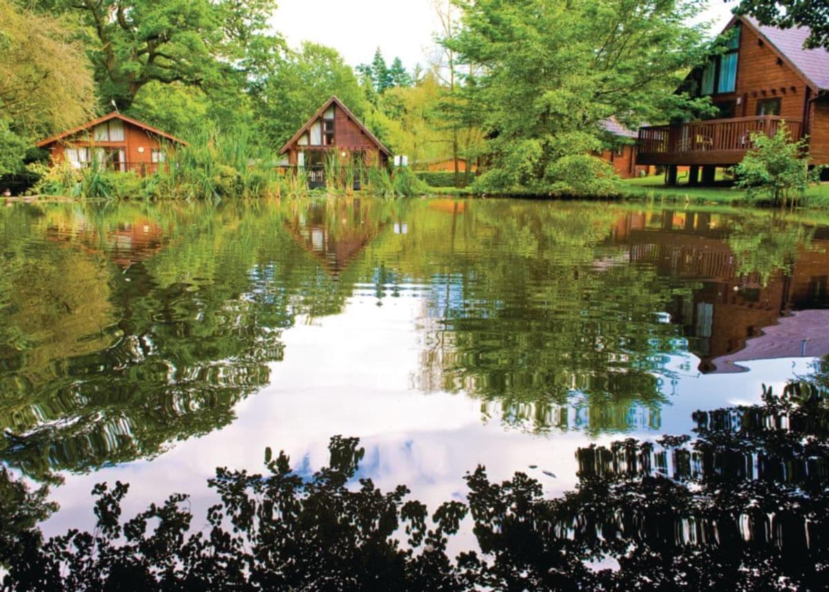 Whitemead Forest Park Hotel Parkend Ngoại thất bức ảnh