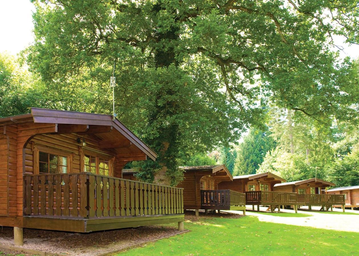 Whitemead Forest Park Hotel Parkend Ngoại thất bức ảnh