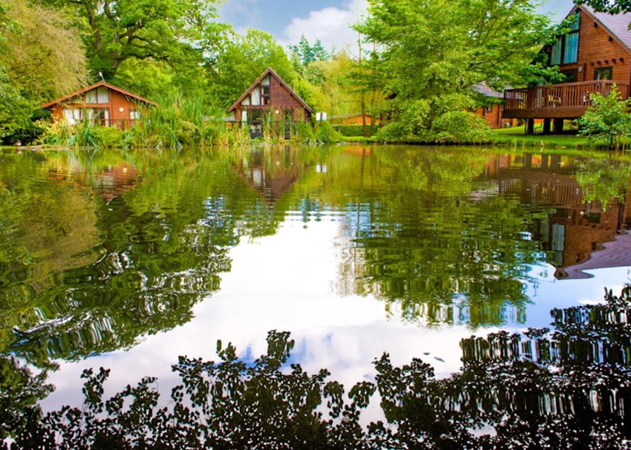 Whitemead Forest Park Hotel Parkend Ngoại thất bức ảnh